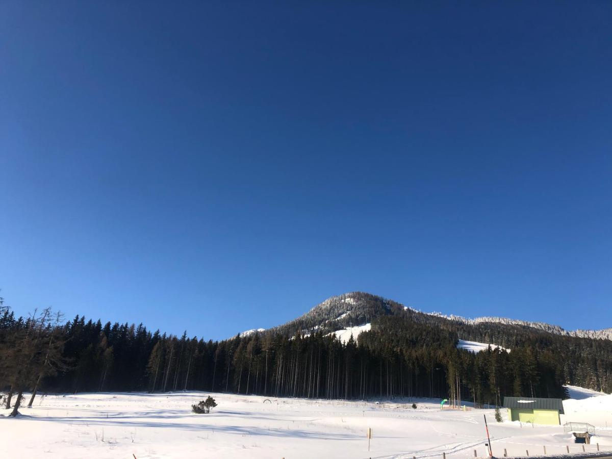 Appartement Schwab Ski In & Out Schladming Buitenkant foto